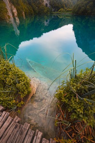 Подводный мир Плитвицких озер