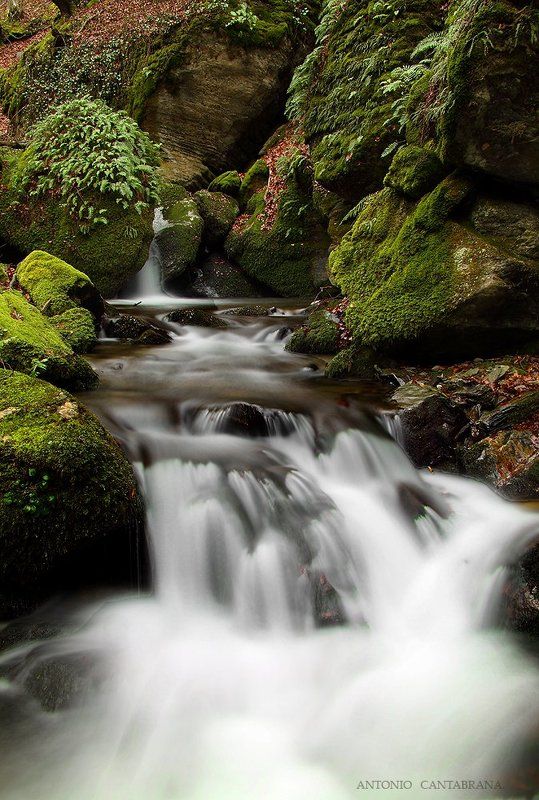 Déjame sacarte una fotografía bajo esta luz,  por si acaso es la última vez. фото превью