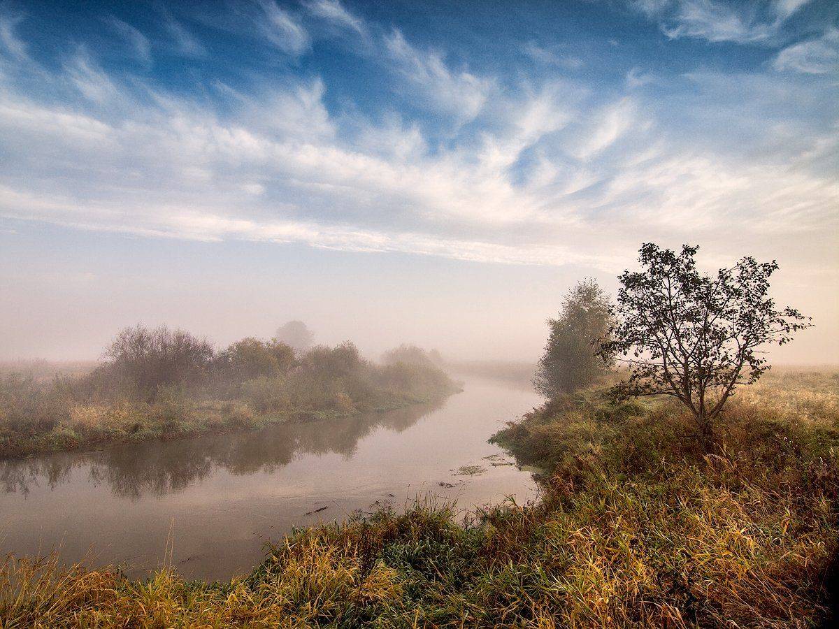 , Марина Брыдня