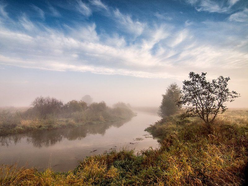 осень, осень... фото превью