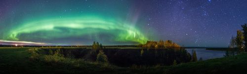 Где мамонты грибы топтали