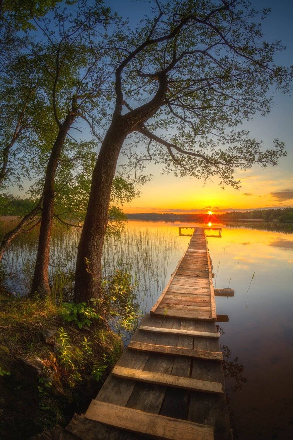 , Серж Домбровский