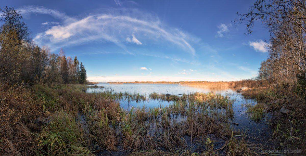 , Хохряков Николай