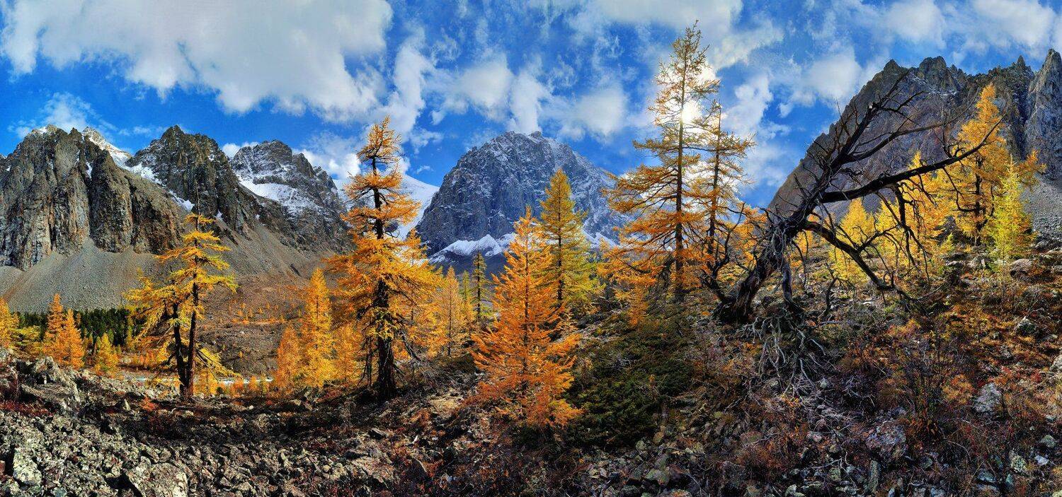 , Клековкин Алексей