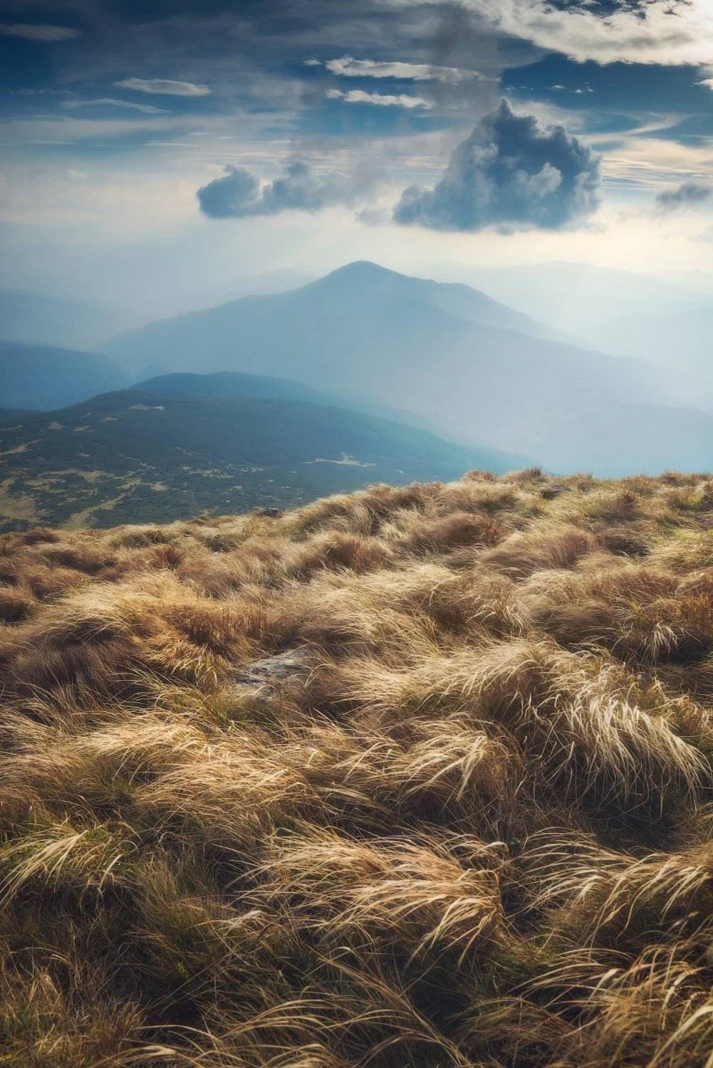 , Виталий Башкатов