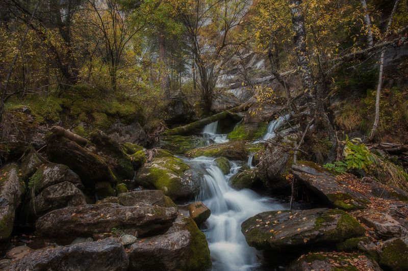 река, шинок, алтай,сибирь,алтайскийкрай, altai, altay, siberia, river,shinok Река Шинок фото превью