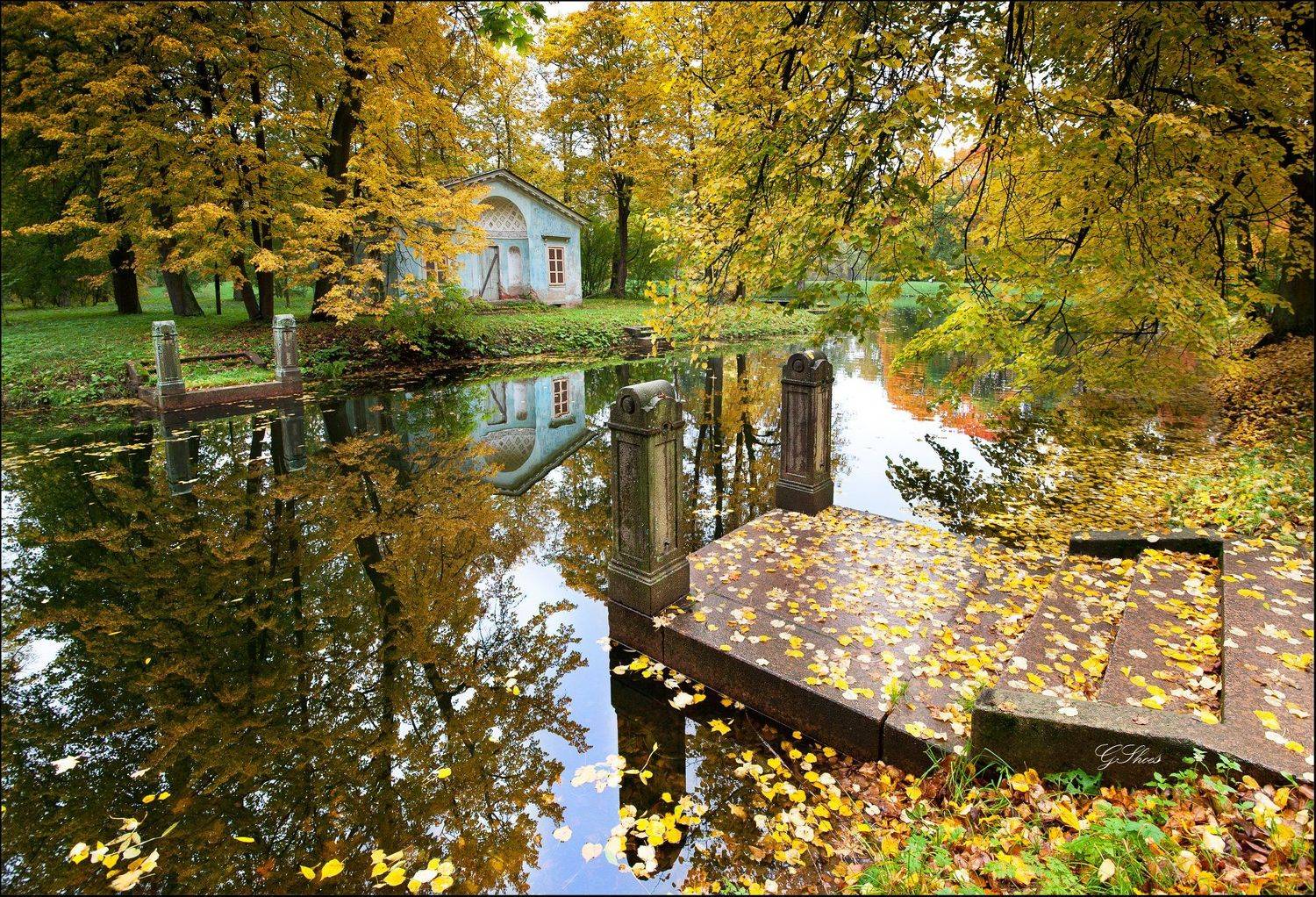 парк, осень, Георгий Сапожников