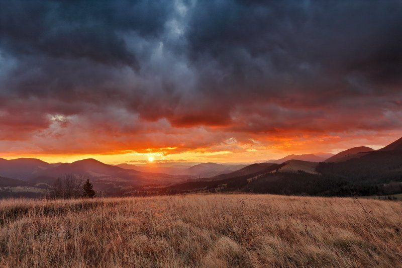 Горы, Карпаты, Ноябрь, Осень, Рассвет, Утро Багряный рассвет фото превью