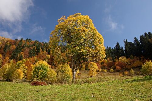 Горная осень