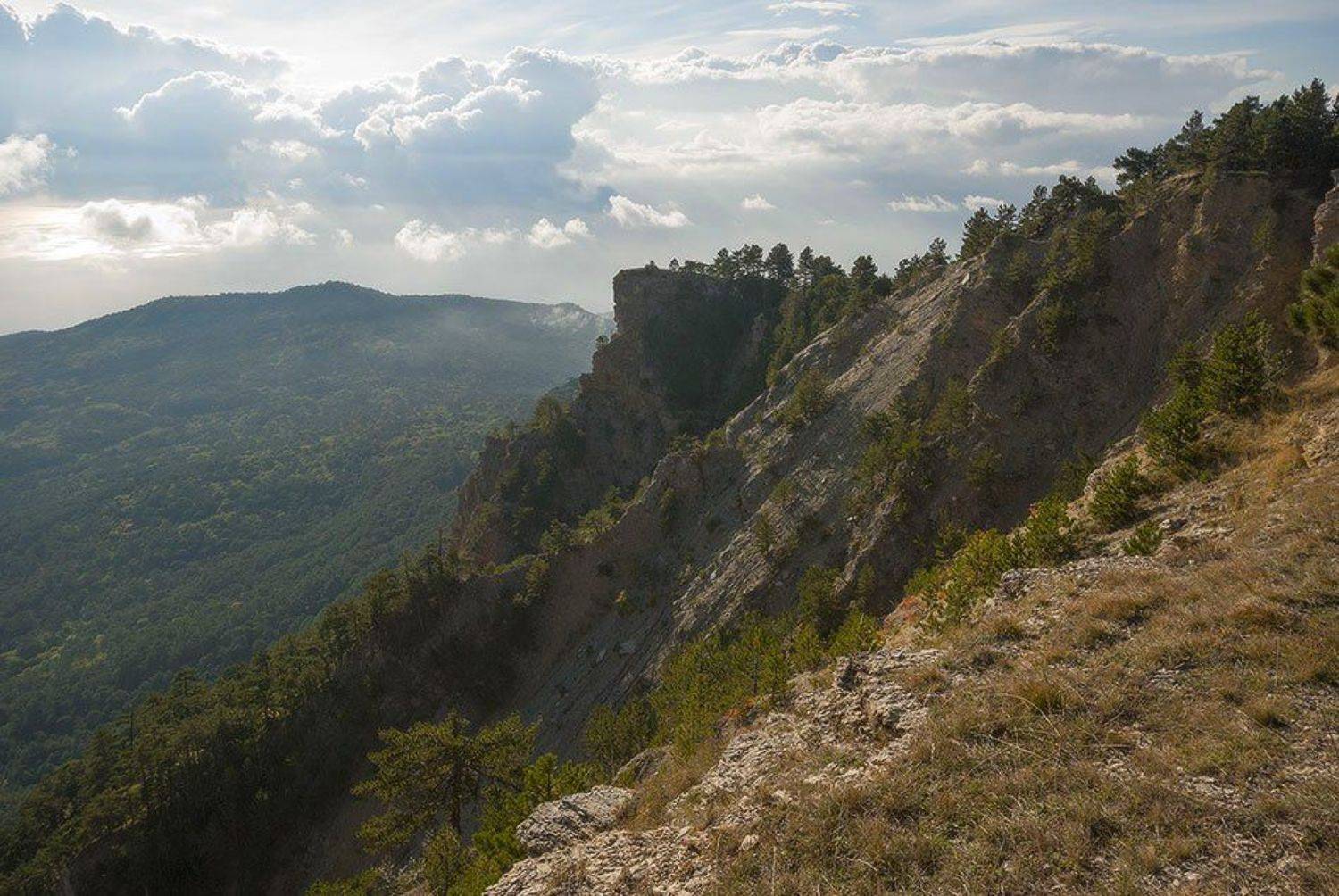 , Саша  Вайсберг / Waldschnepfe /