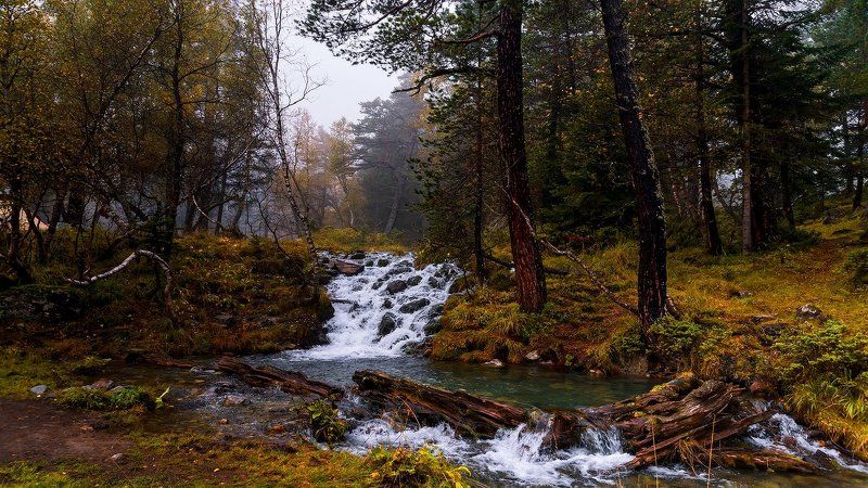 Ручьи Софийской долины фото превью