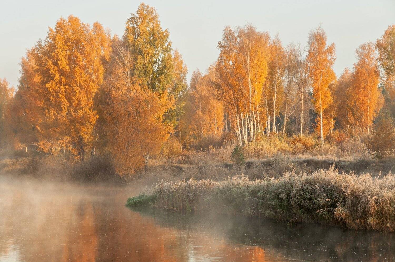 , Олег Богданов