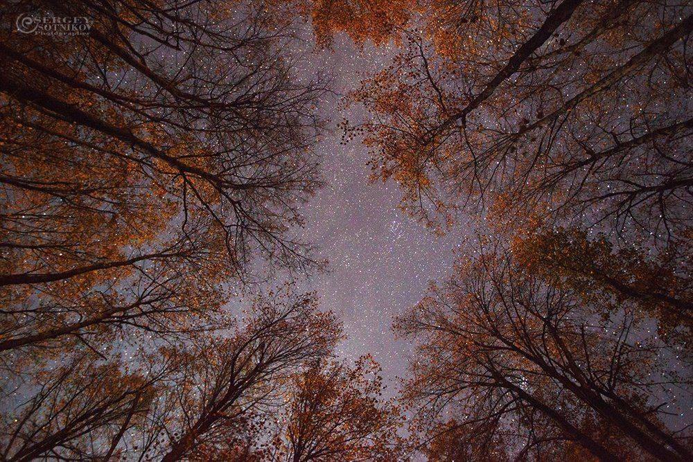 , Сергей Сотников