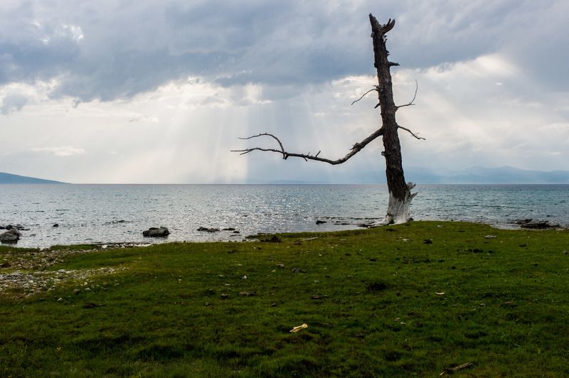Монголия, Хубсугул озеро Хубсугул (Северная Монголия) фото превью
