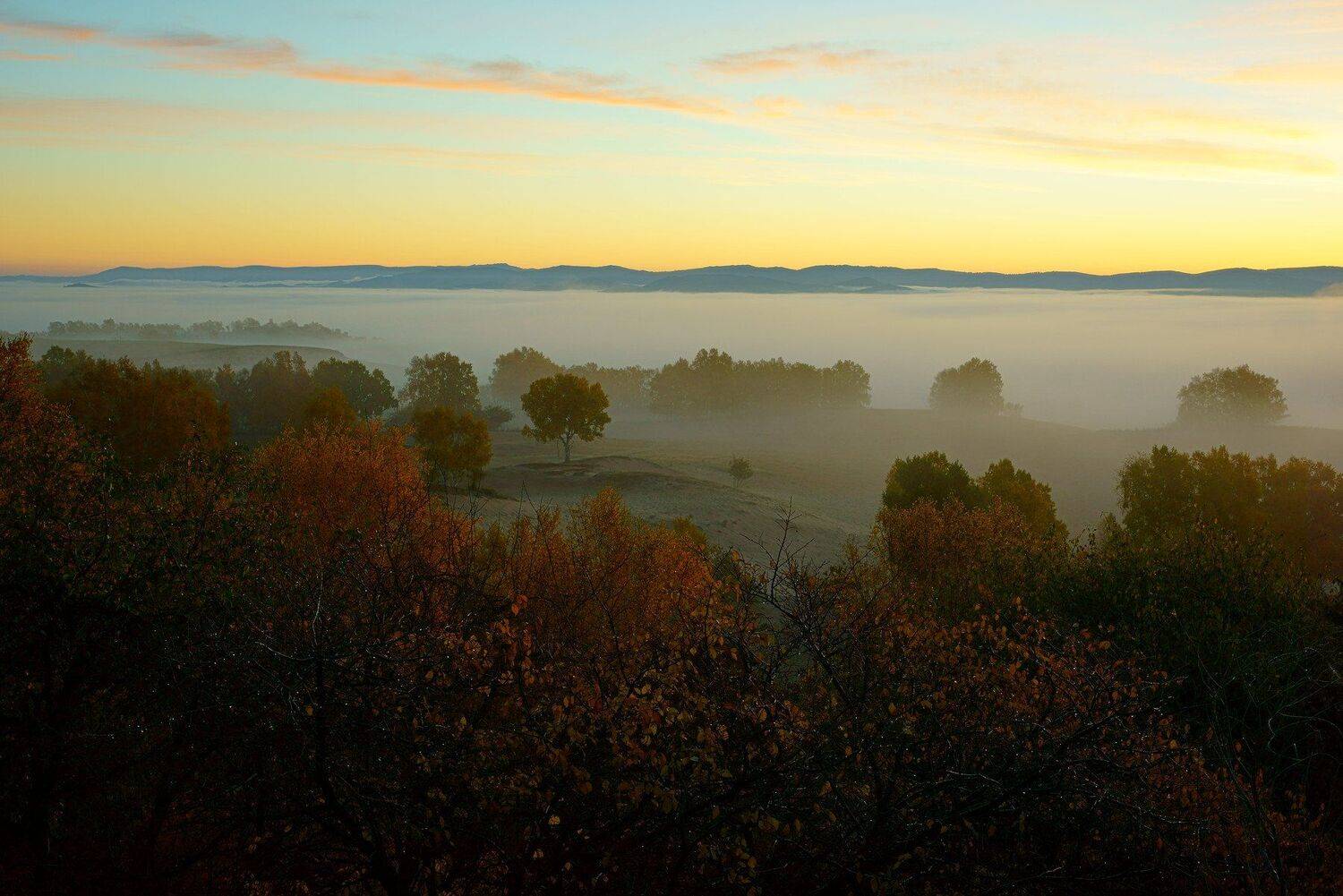 asia,china,neimenggu,basang,plateau,autumn,morning,sunrise,fog,sky,mountain,cloud,tree,, Shin