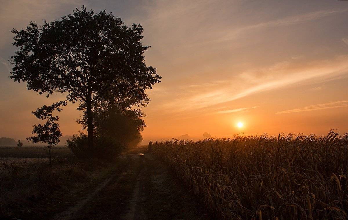, Pawel Plucinski