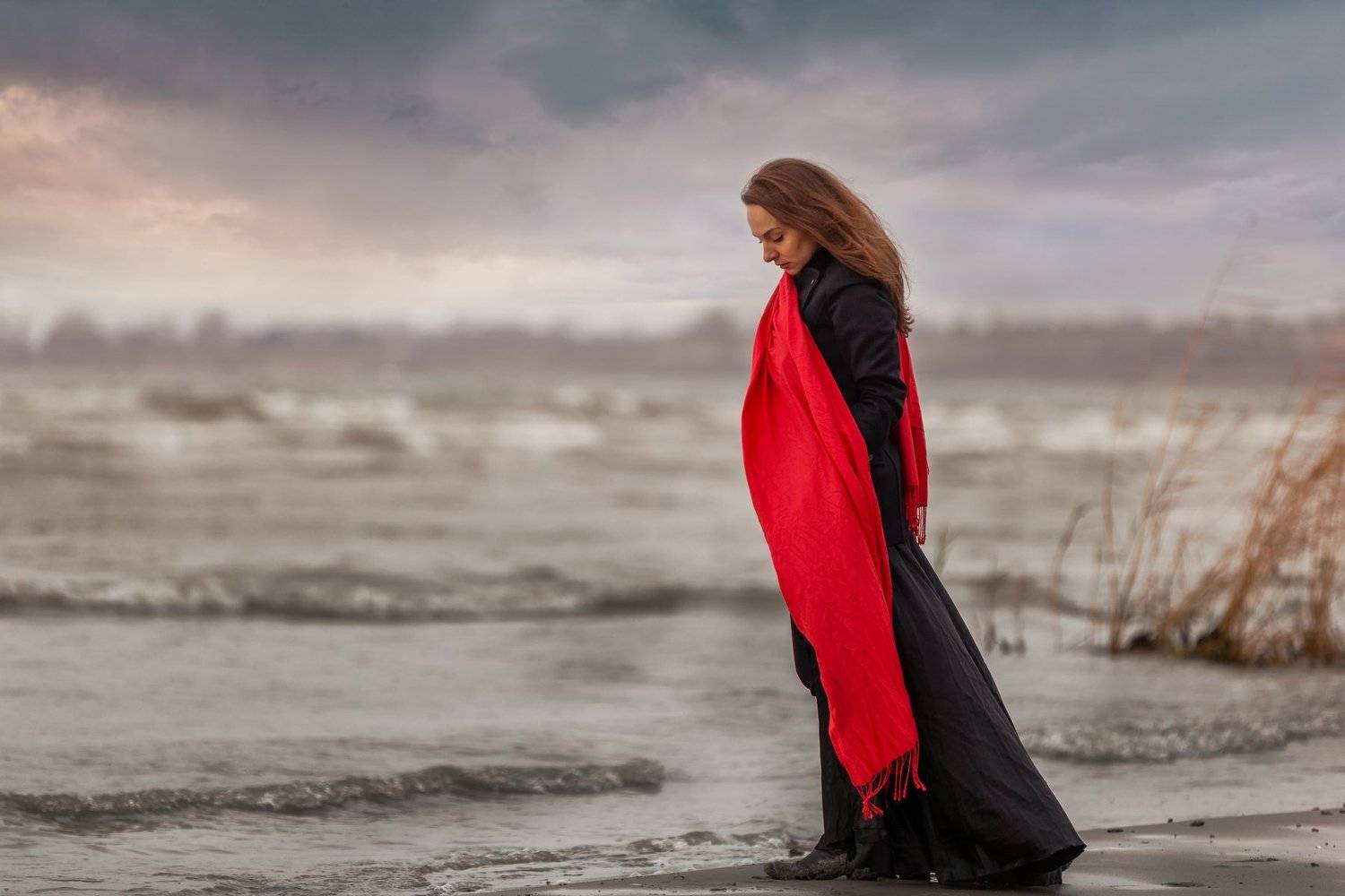 , Никита Сердечный