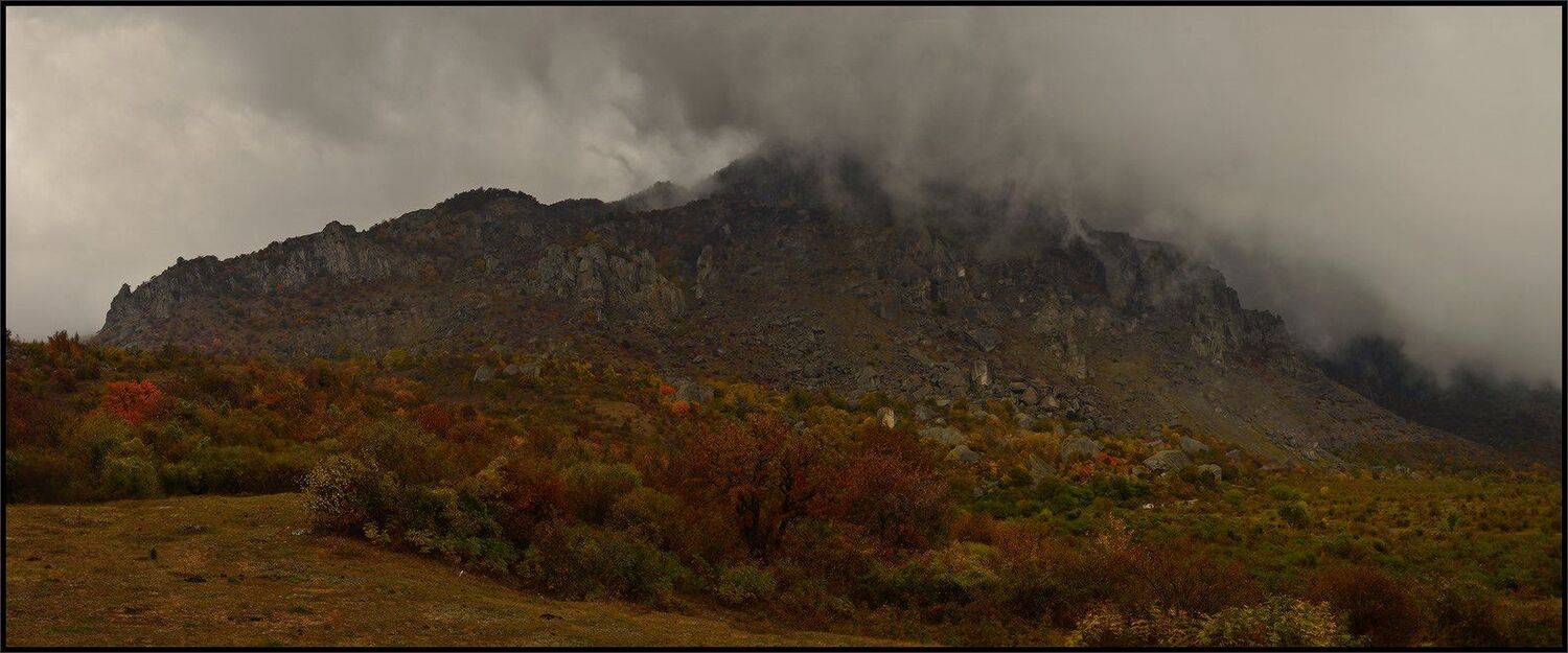 , Владимир Метцгер