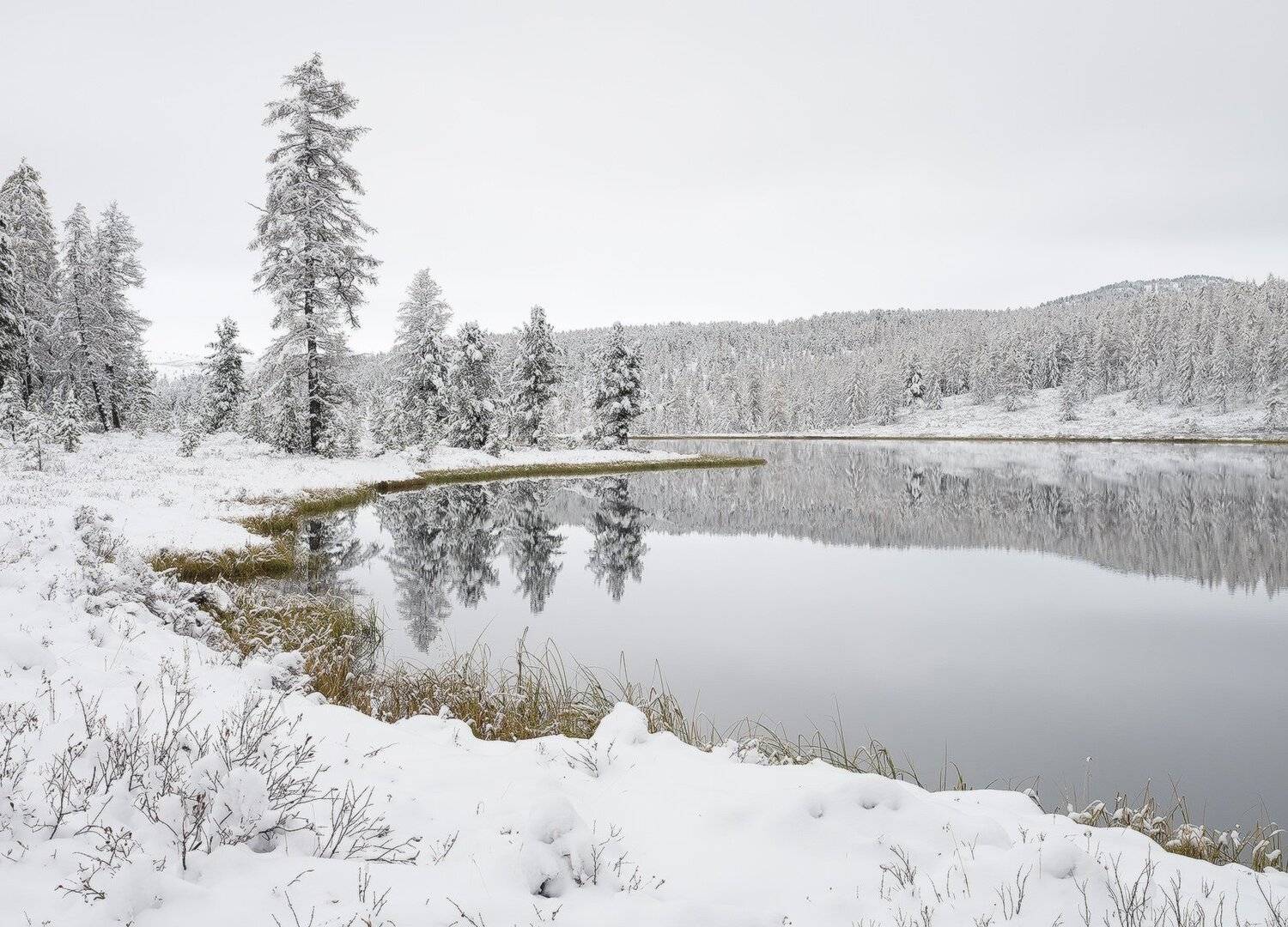 , Лещёнок Александр