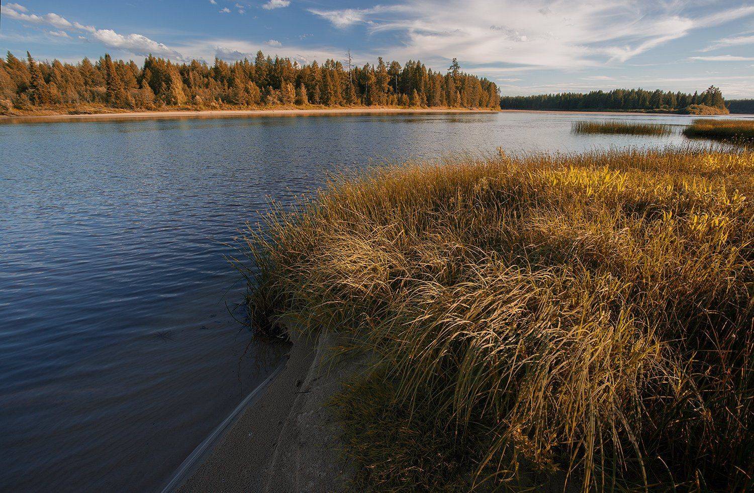 , Поташев Александр