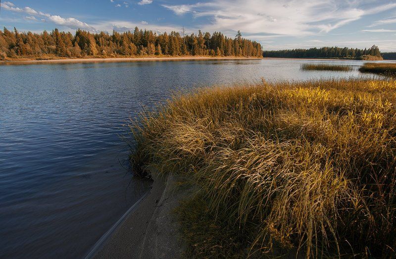 ****** фото превью