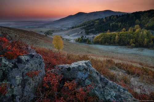 Краски осени