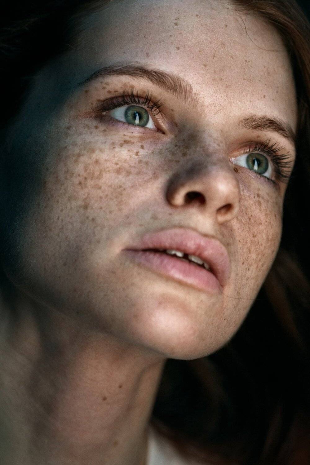 Портрет, Дмитрий Александров