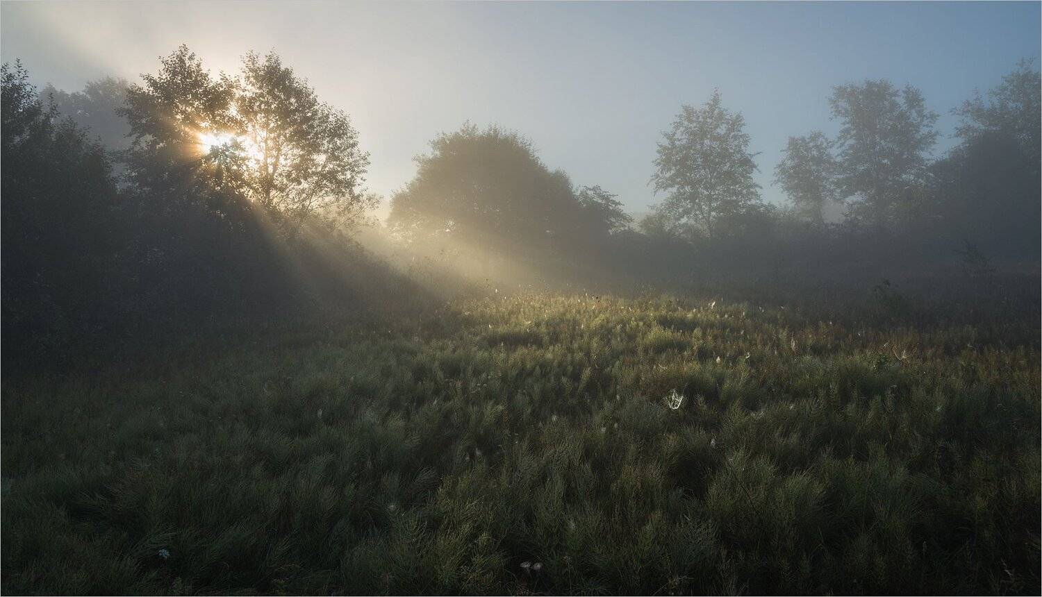 , Николай Шахманцир