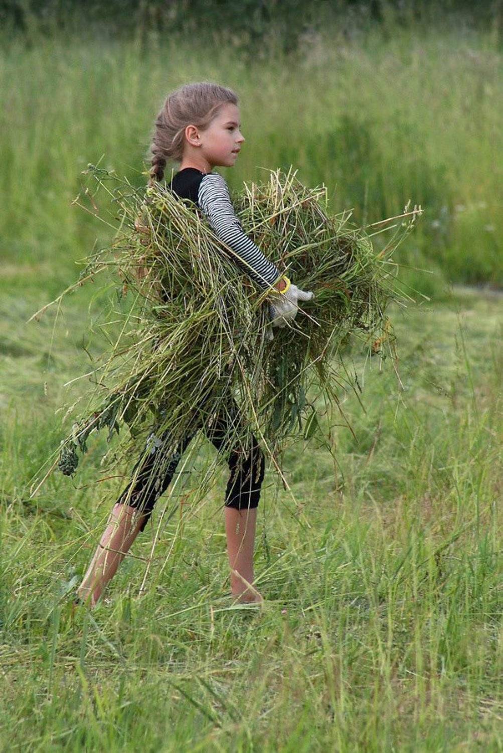 дети, Свистков Александр