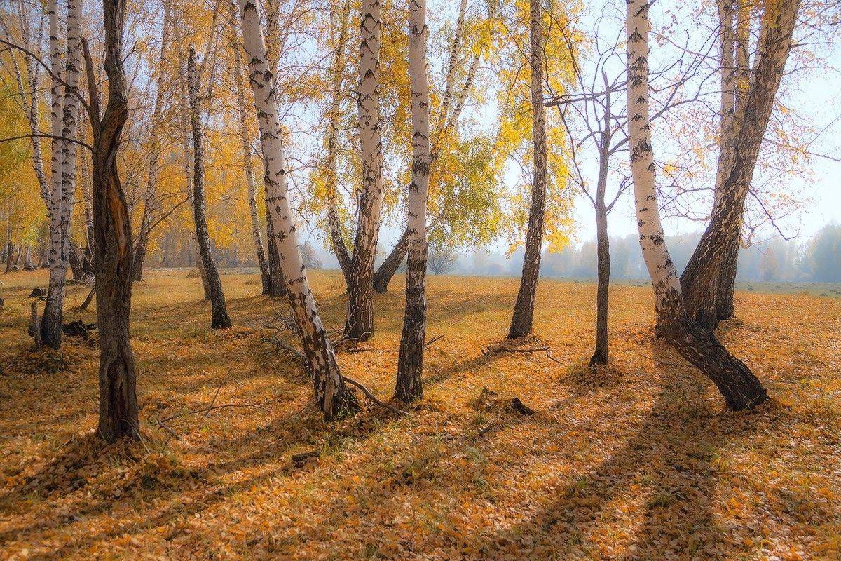 , Николай Морский