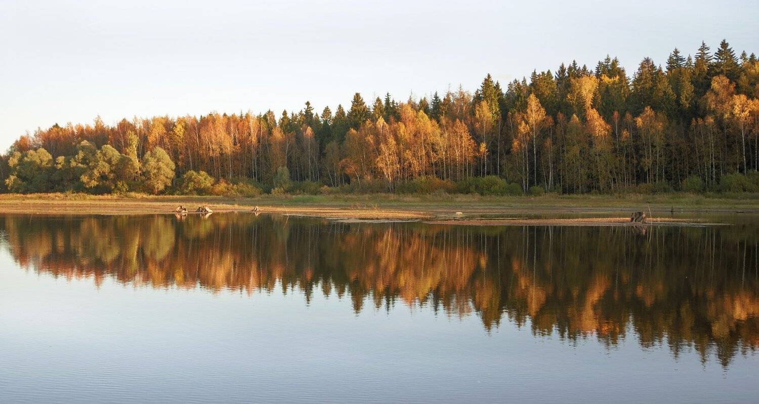 , Михаил