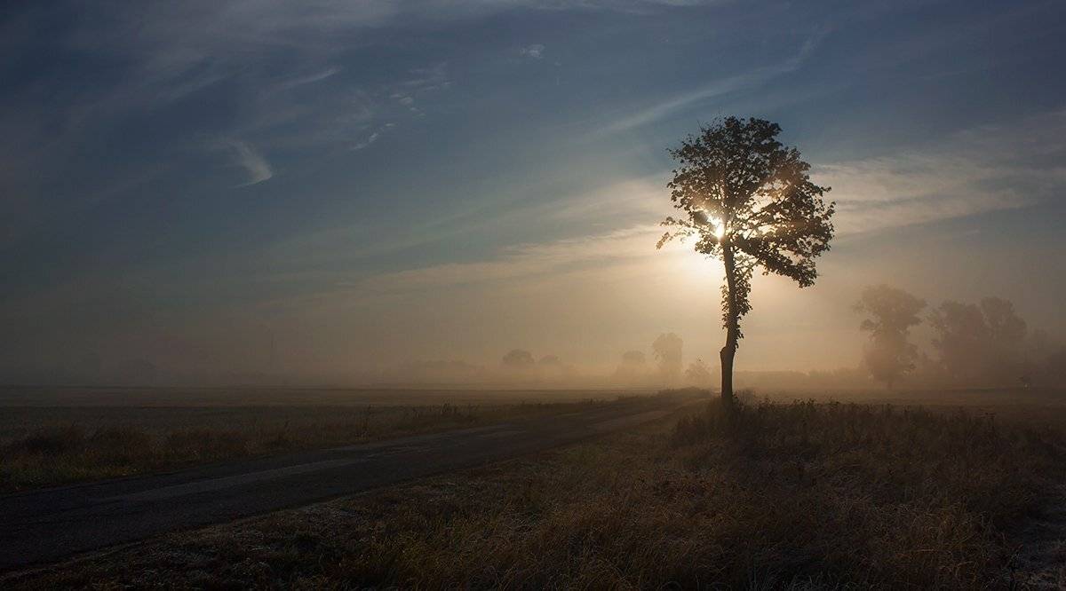 , Pawel Plucinski