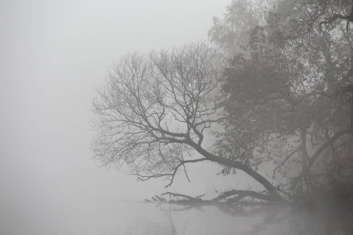 Беларусь, Минск и окрестности, Октябрь, Осень, Туман, Утро, Вейзе Максим