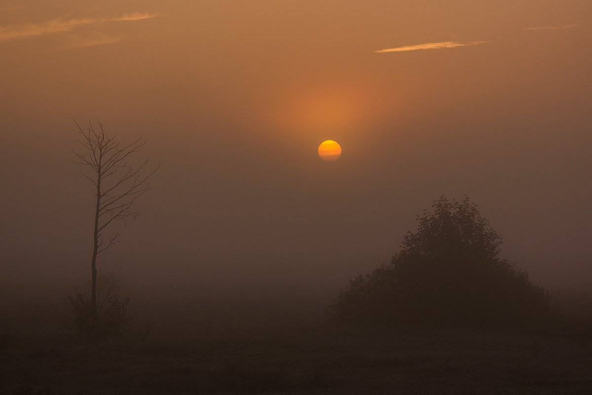 , Pawel Plucinski