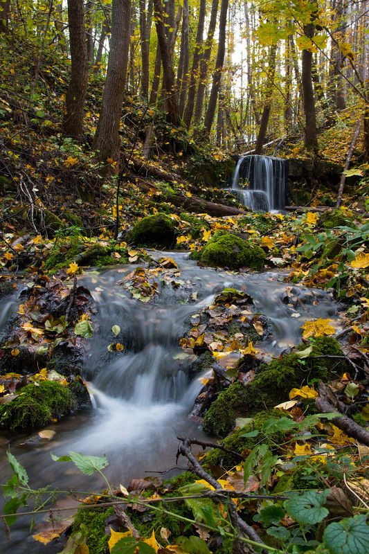 Водопад и листья фото превью