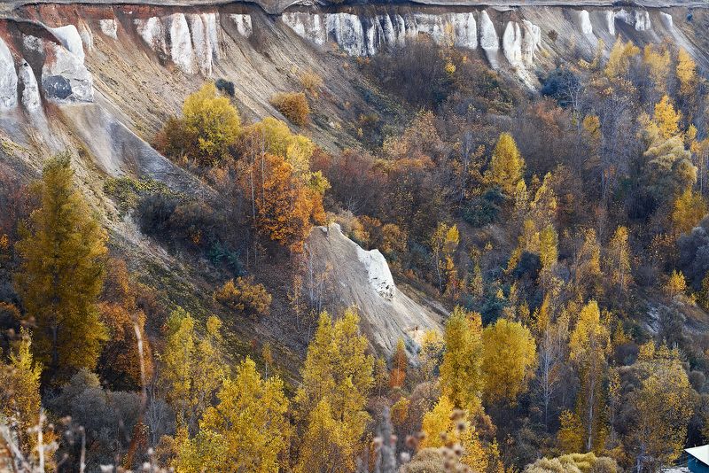 Воронеж Осень фото превью