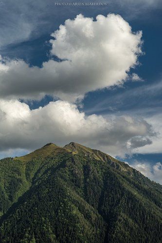 А ОБЛАКА..БЕЛОГРИВЫЕ ЛОШАДКИ
