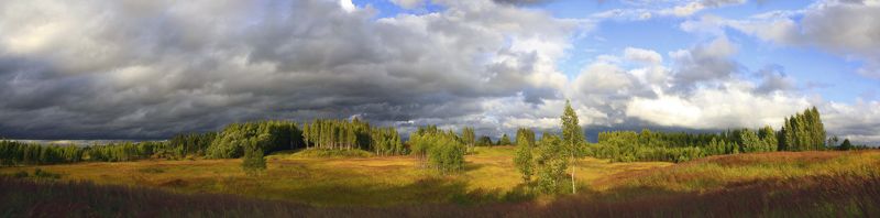 лето, поле , тучи Русский пейзаж ) фото превью