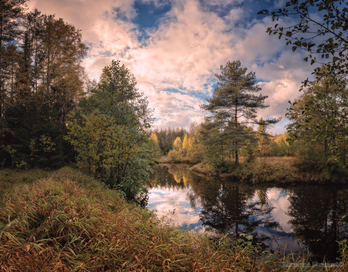 , Хохряков Николай