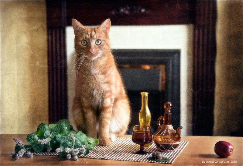 Мята, НатюрКотики, Рыжий кот Запах мяты фото превью
