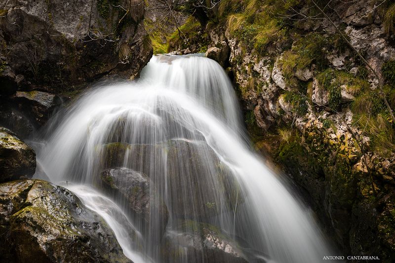 To the water. фото превью