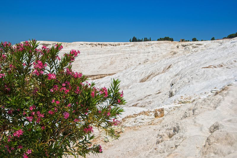 Pammukale, Turkey Pammukale, Turkey фото превью