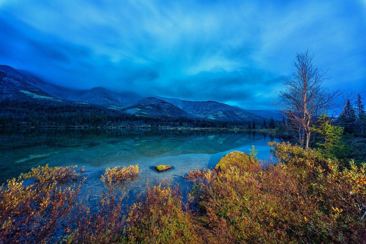 #природа #Россия #colour #colourful #forest #autumn #snow #russia #nature #nationalgeographic #travel #water #love #lovethis #canon #кольский #кольскийполуостров #natureonly #tree #traveltheworld #september #view #beautiful #photographer #river #feo_man #, Александр Романов