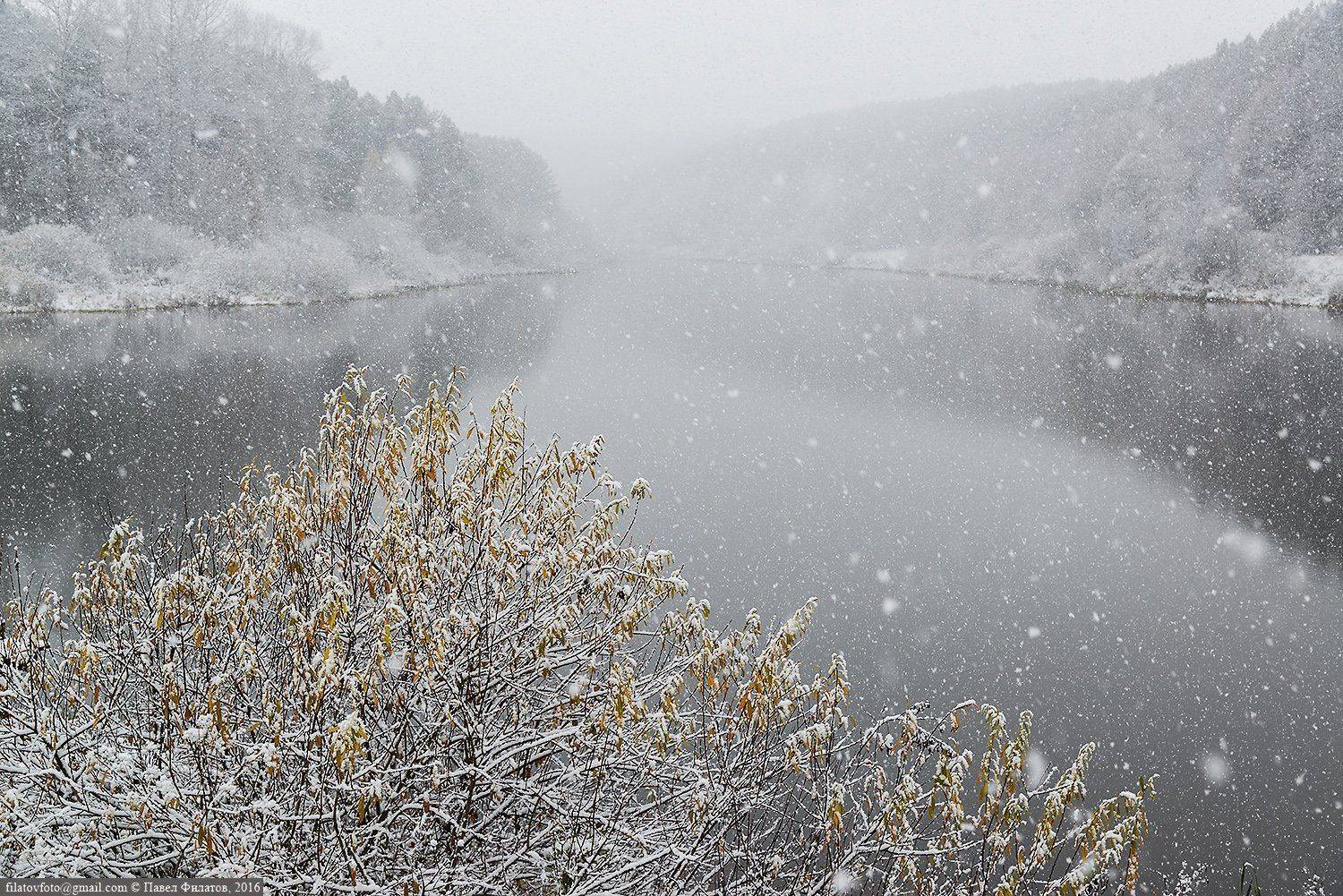 Altai, Pavel Filatov, Siberia, Snow, Алтай, Ива, Октябрь, Павел Филатов, Предгорья, Сибирь, Снег, Снегопад, Павел Филатов