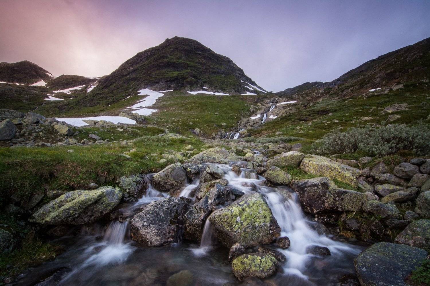 Норвегия, Dmitry Papunov