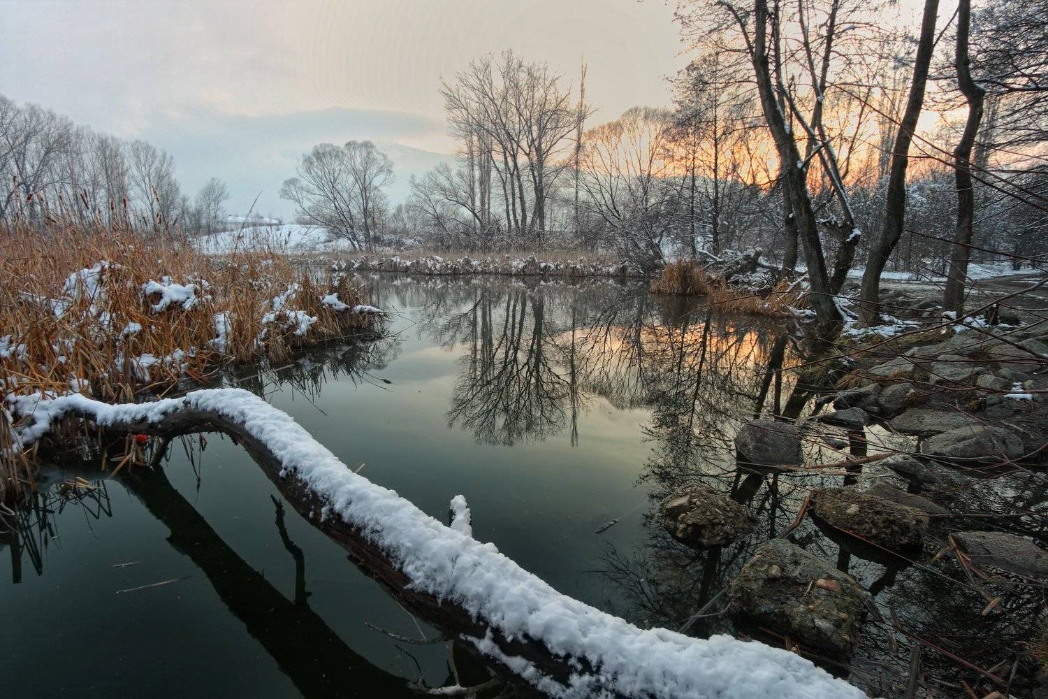 Болгария, Парк, София, Александър Сандев