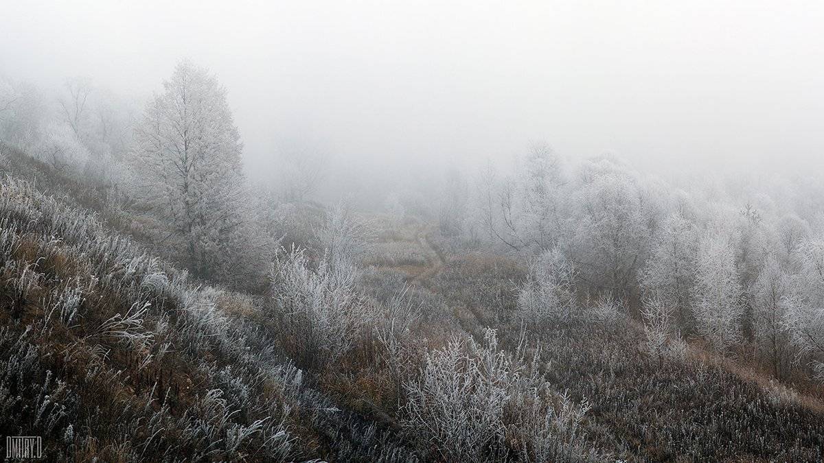 , Дмитрий Доронин