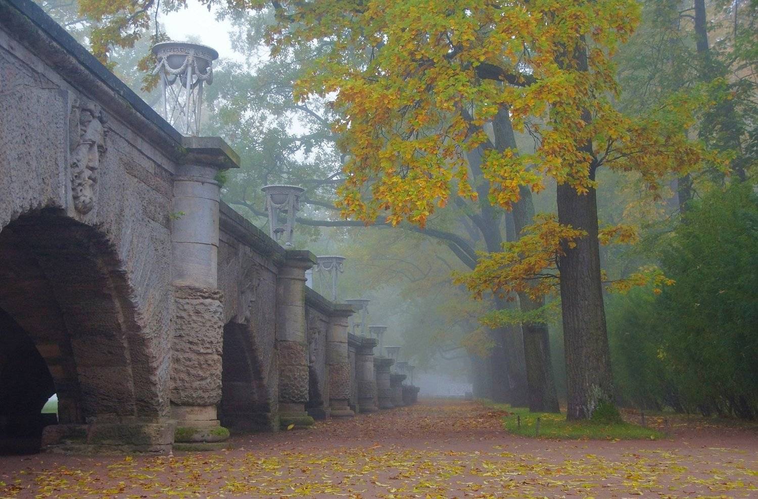 autumn, morning, park, fog, landscape, nature, alley, tree, leaf fall, silence, mood, sadness, Сергей Андреевич