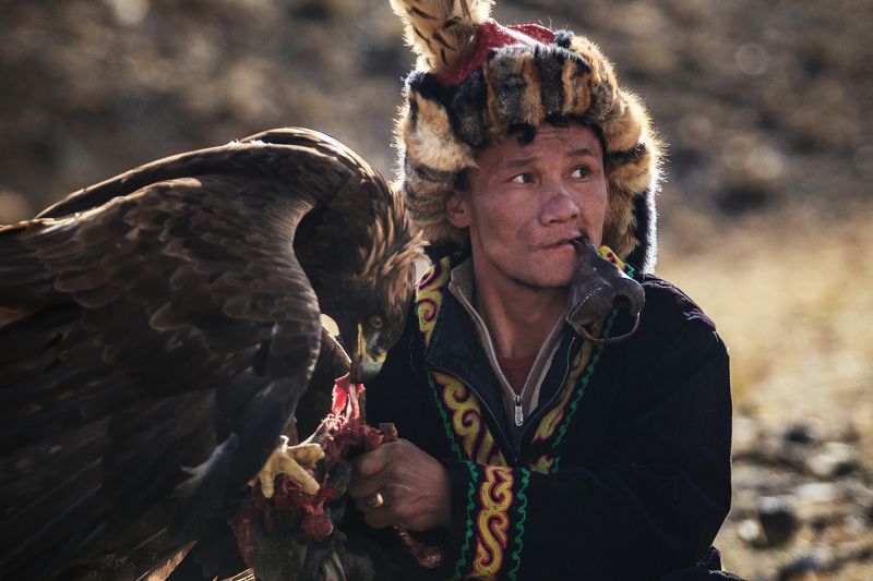 беркутчи, монголия, охота Golden Eagle Festival фото превью