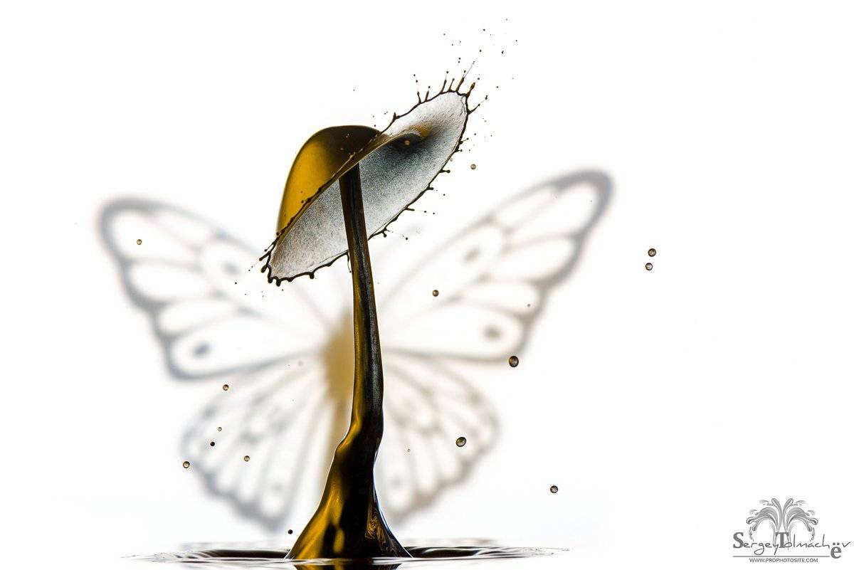 , Сергей Толмачев